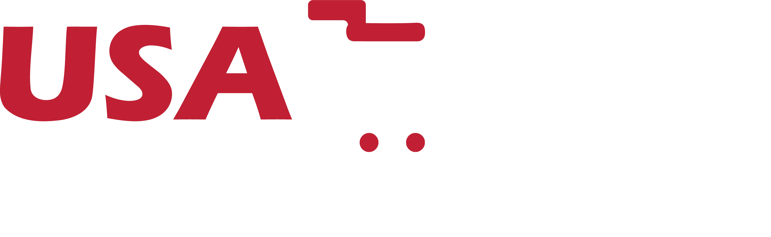 USA eCom Services