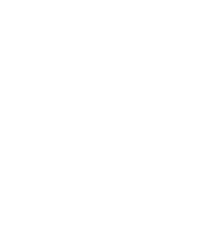 USA eCom Services